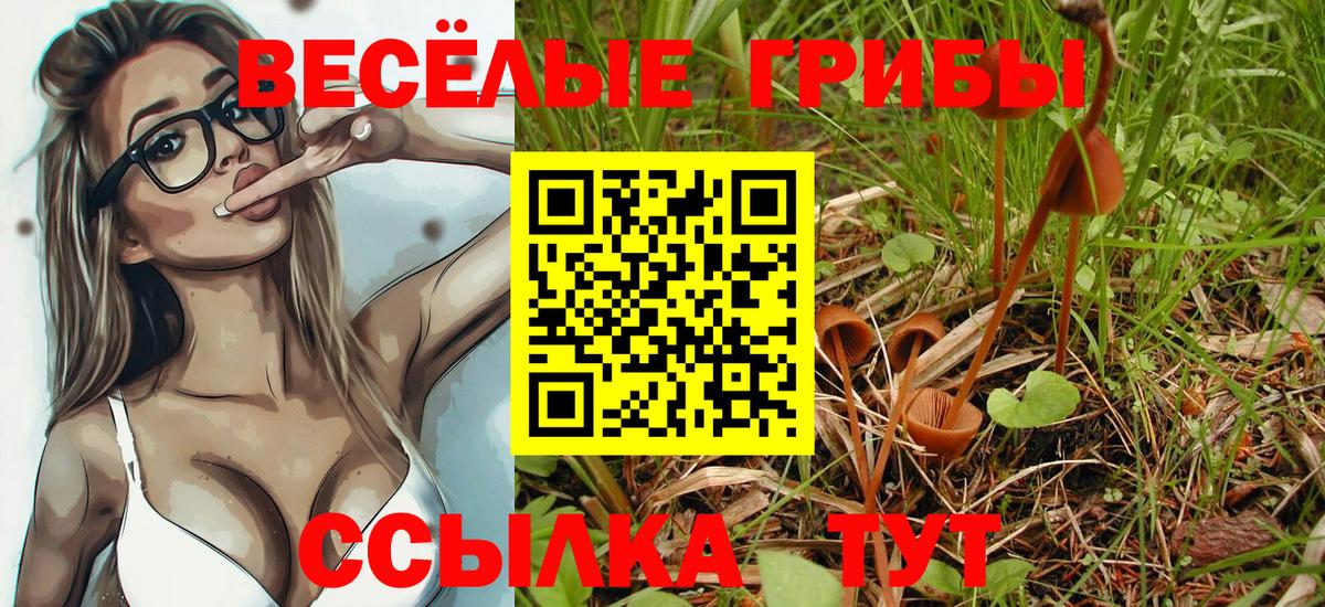 Усолье-Сибирское  Галлюциногенные грибы Psilocybine cubensis  Вход с VPN 